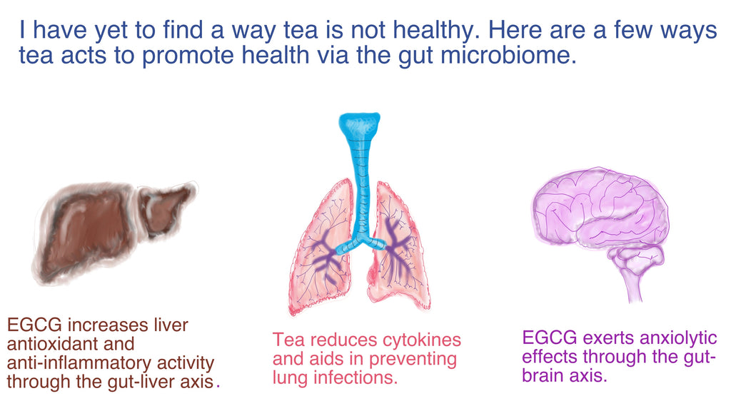 Tea for the Health of your Gut Microbiome