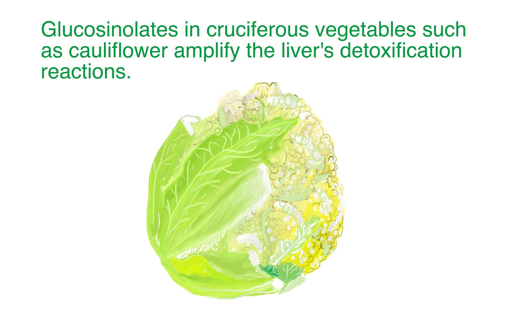 How to Expel Toxins like Heavy Metals, Pesticides, Herbicides, Fertilizers, and other Toxins