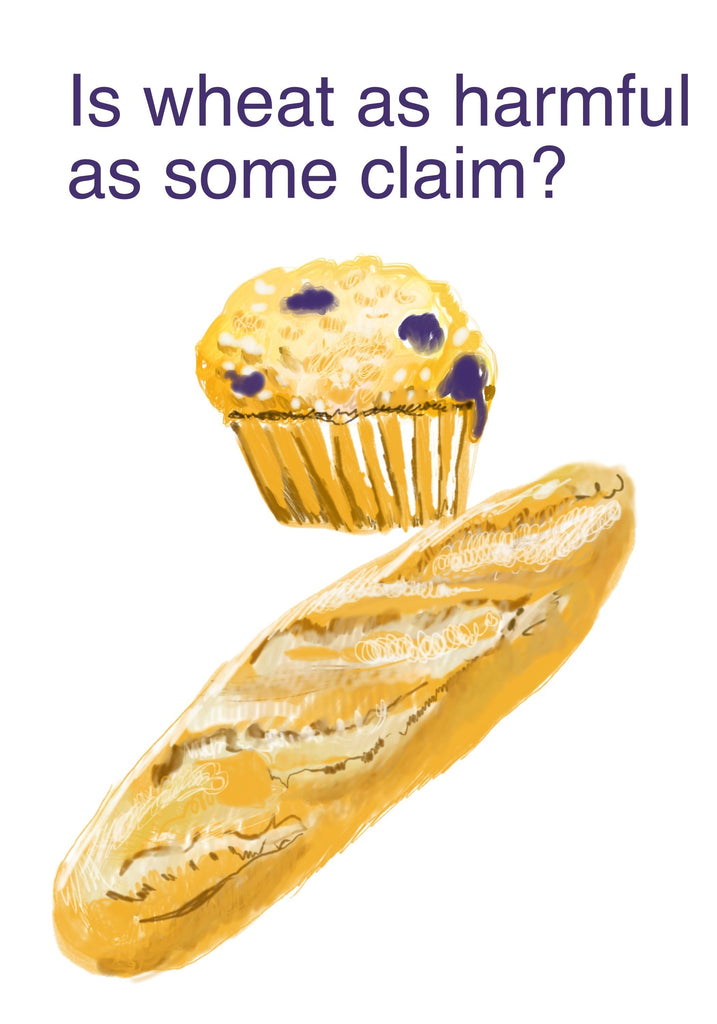 Is Wheat as Harmful as Some Claim?