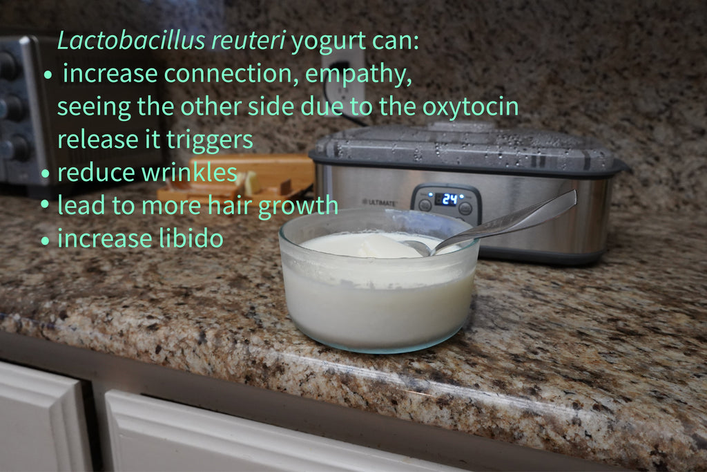 Yogurt with Bacteria (L. reuteri) that leads to Oxytocin Release, Hair Growth, Fewer Wrinkles