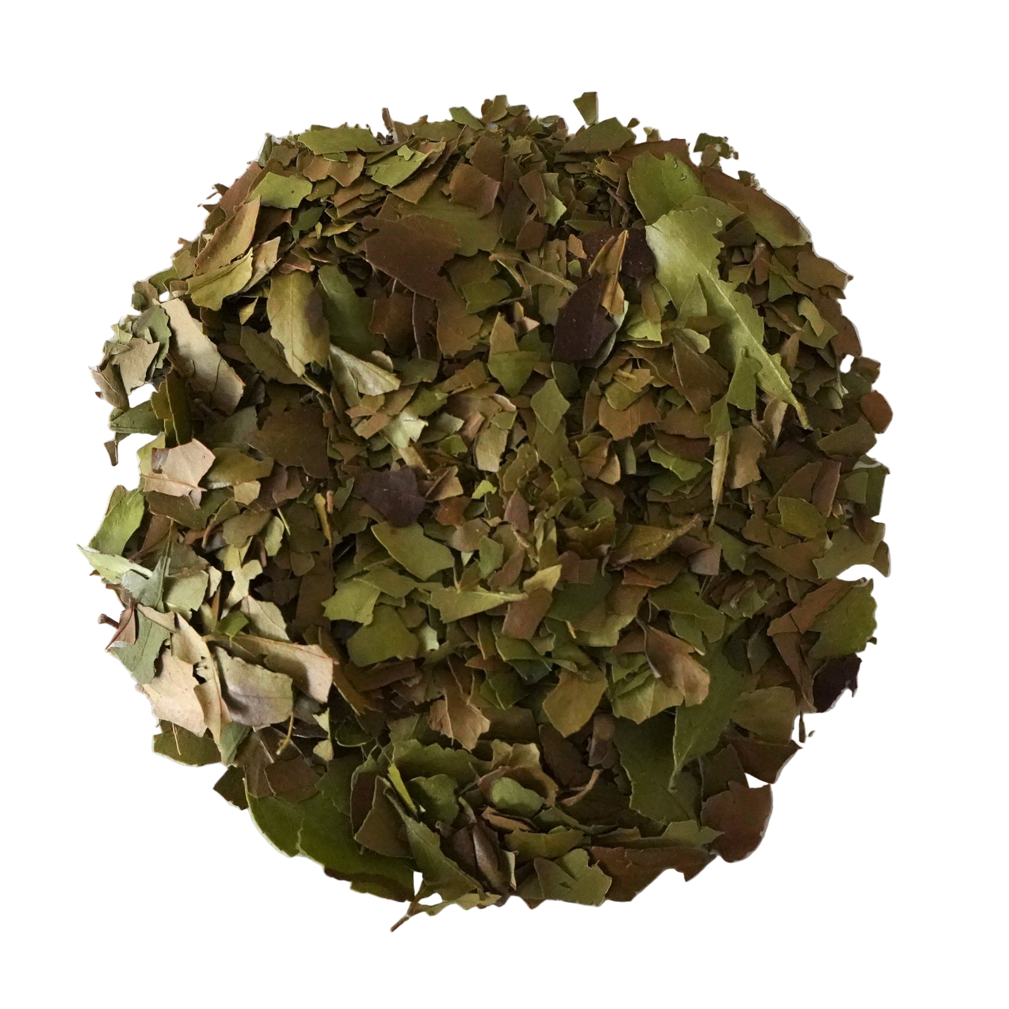 Yaupon Tea